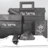תיק לטלית ותפילין כולל טלית חתנים סידור וכיפה